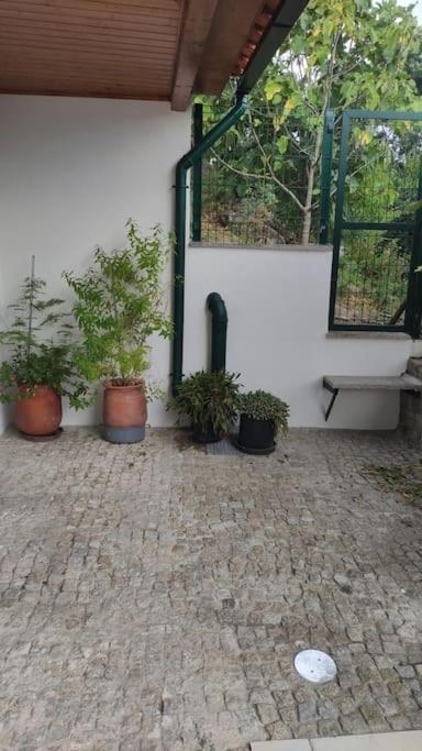Casa Dionisio Vila Amarante Exterior foto